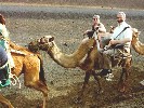 A camel ride included in the coach tour of the island.